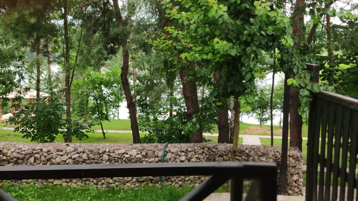 Terrace and park view